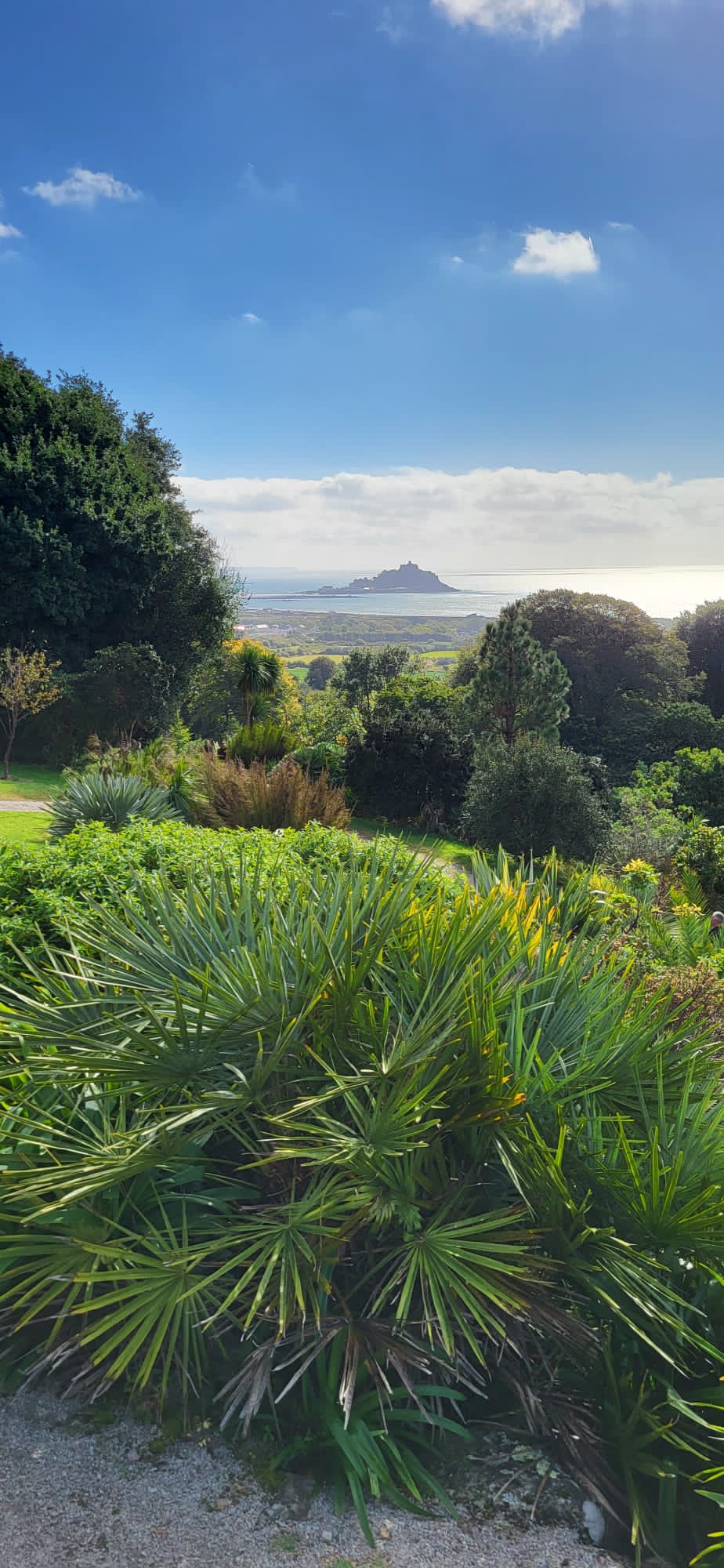 The view down to Mount’s Bay, from Tremenheere Sculpture Garden, west&nbsp;Cornwall